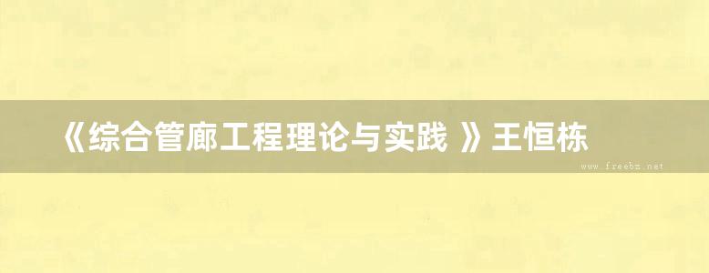 《综合管廊工程理论与实践 》王恒栋 薛伟辰 著 2013年